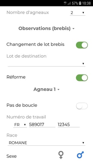 agnelage ovin baoba