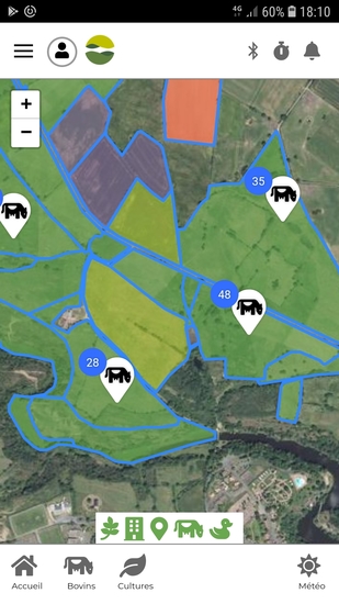 Ecran_cartographie_bovin_baoba_