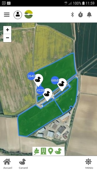 Cartographie volailles baoba
