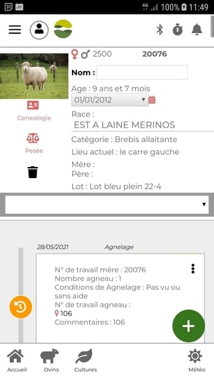 Fiche ovin baoba