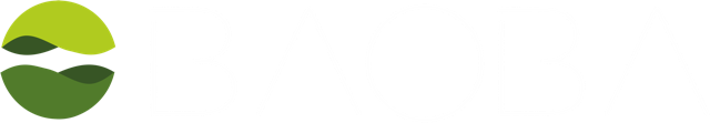 logo baoba